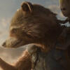 rocket raccoon